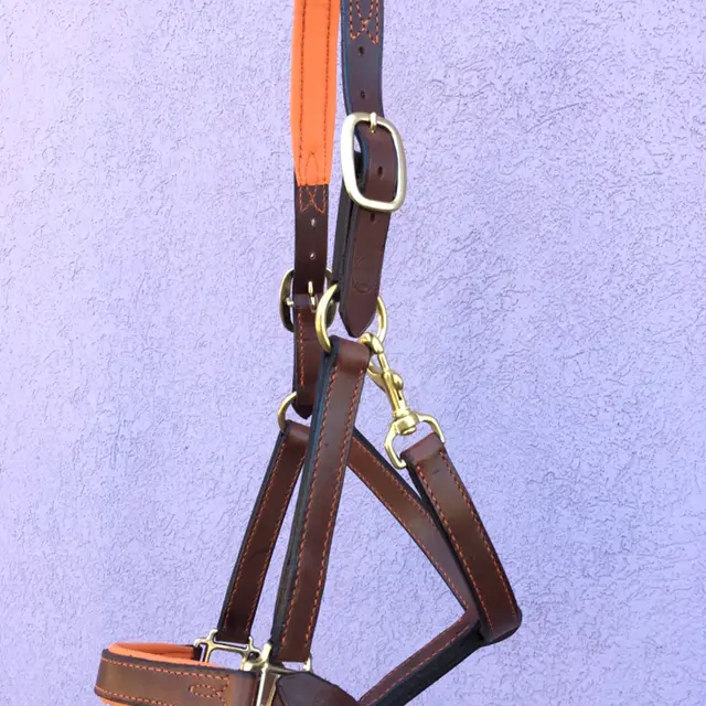 Havana leather halter