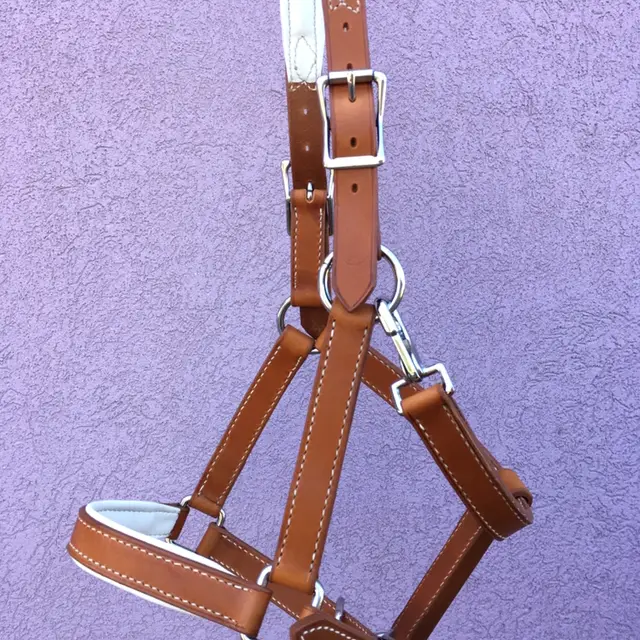 Tan leather halter