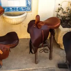 Side saddle