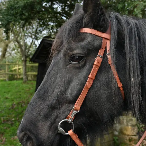 Trail riding bridle
