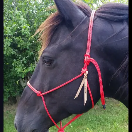 Premium natural horsemanship halter