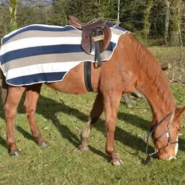 Three-tone exercise rug