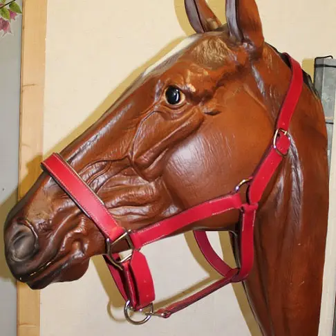 Pink single halter