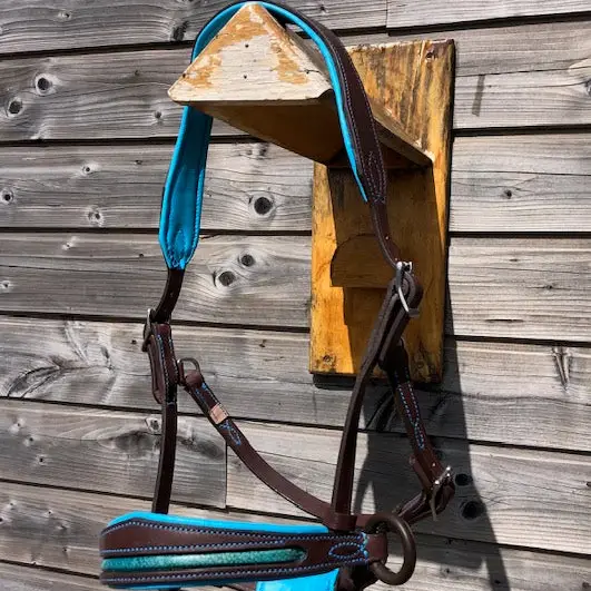 Pauline Dautrey sidepull - Natural Horsemanship