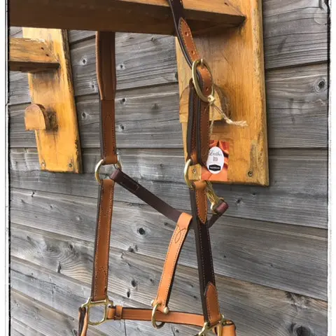 Two-tone leather halter