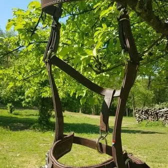 Caveçon pour cheval de trait