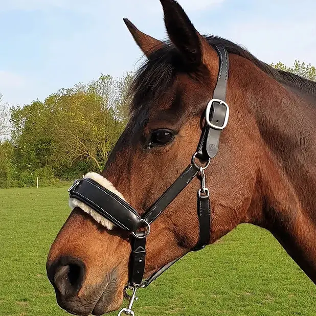 Zoom cavesson halter