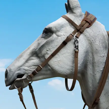 Ergonomic Biothane Bridle