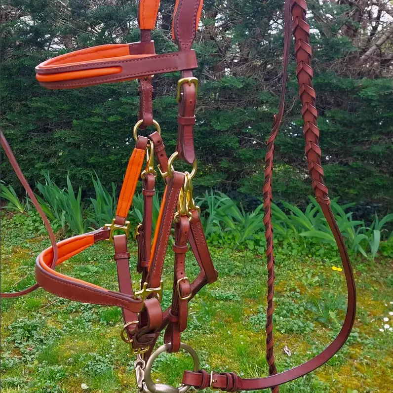 Hiking halter/bridle combo and braided reins