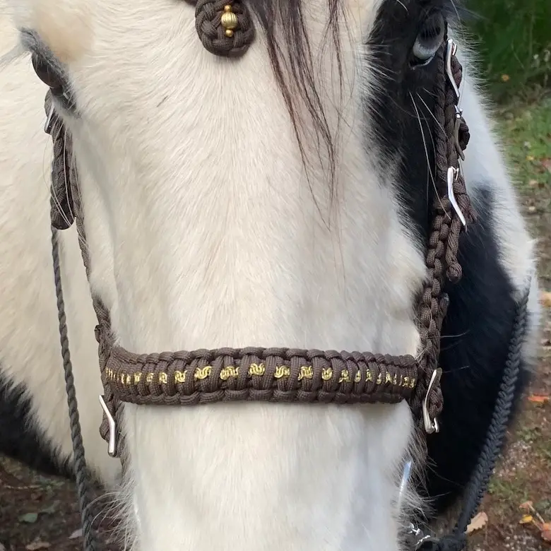 Filet d'équitation artisanal avec frontal en pointe