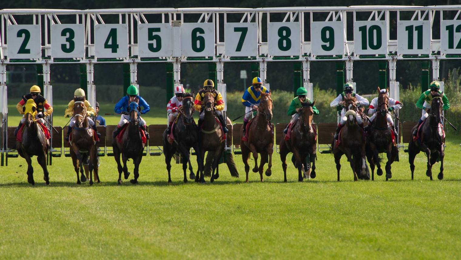 The administration and regulation of horse racing betting