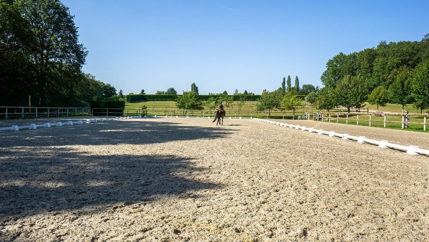 Dressage arena: specific features when setting it up