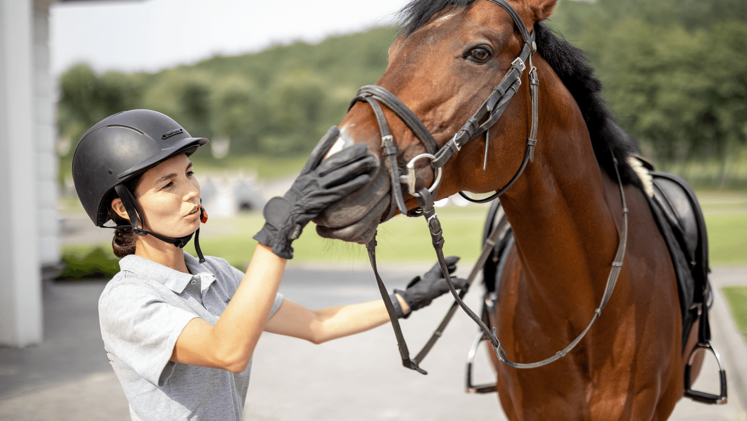 Le galop 4