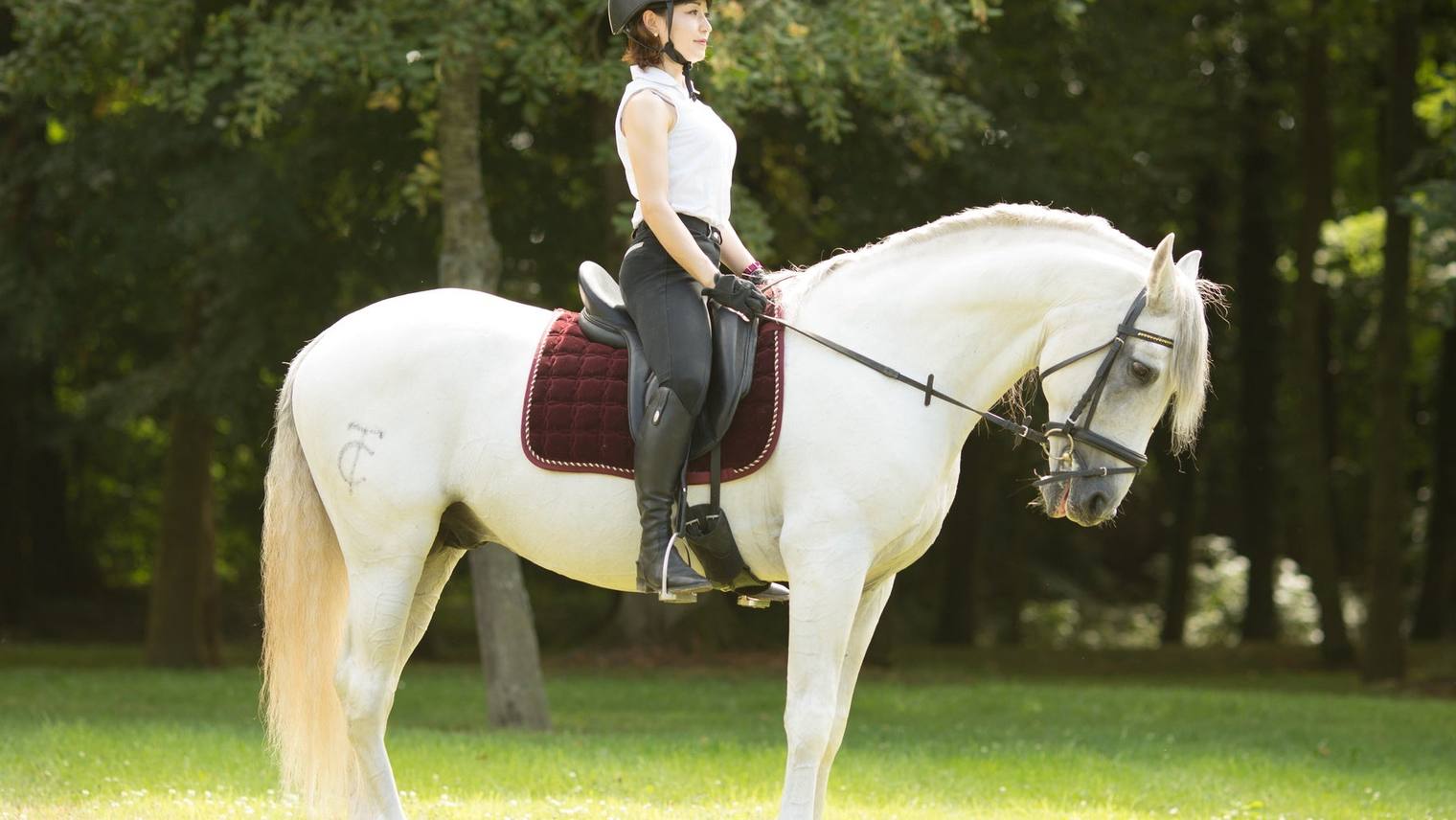 Horse Riding and Injury Prevention: 7 Tips for Kids and Beginners