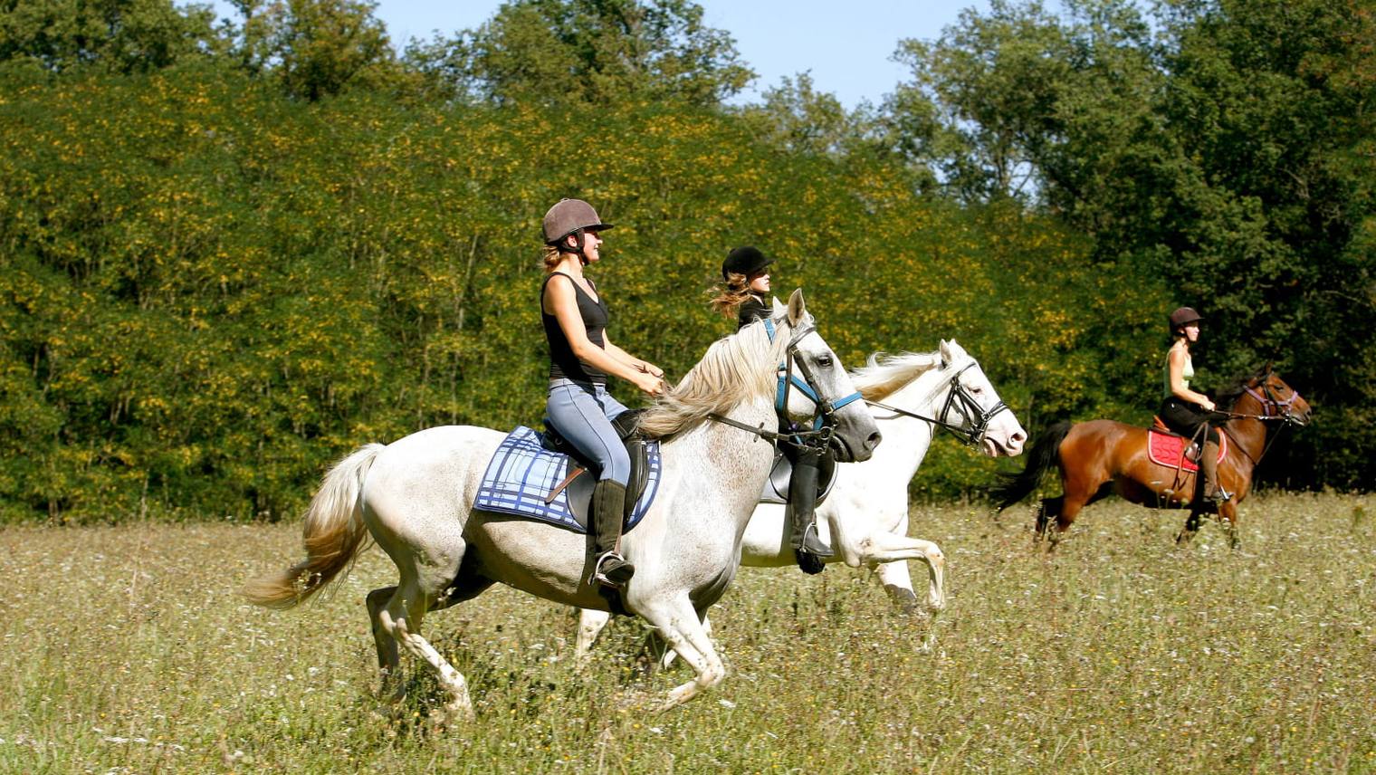 Everything you need to know about horse riding