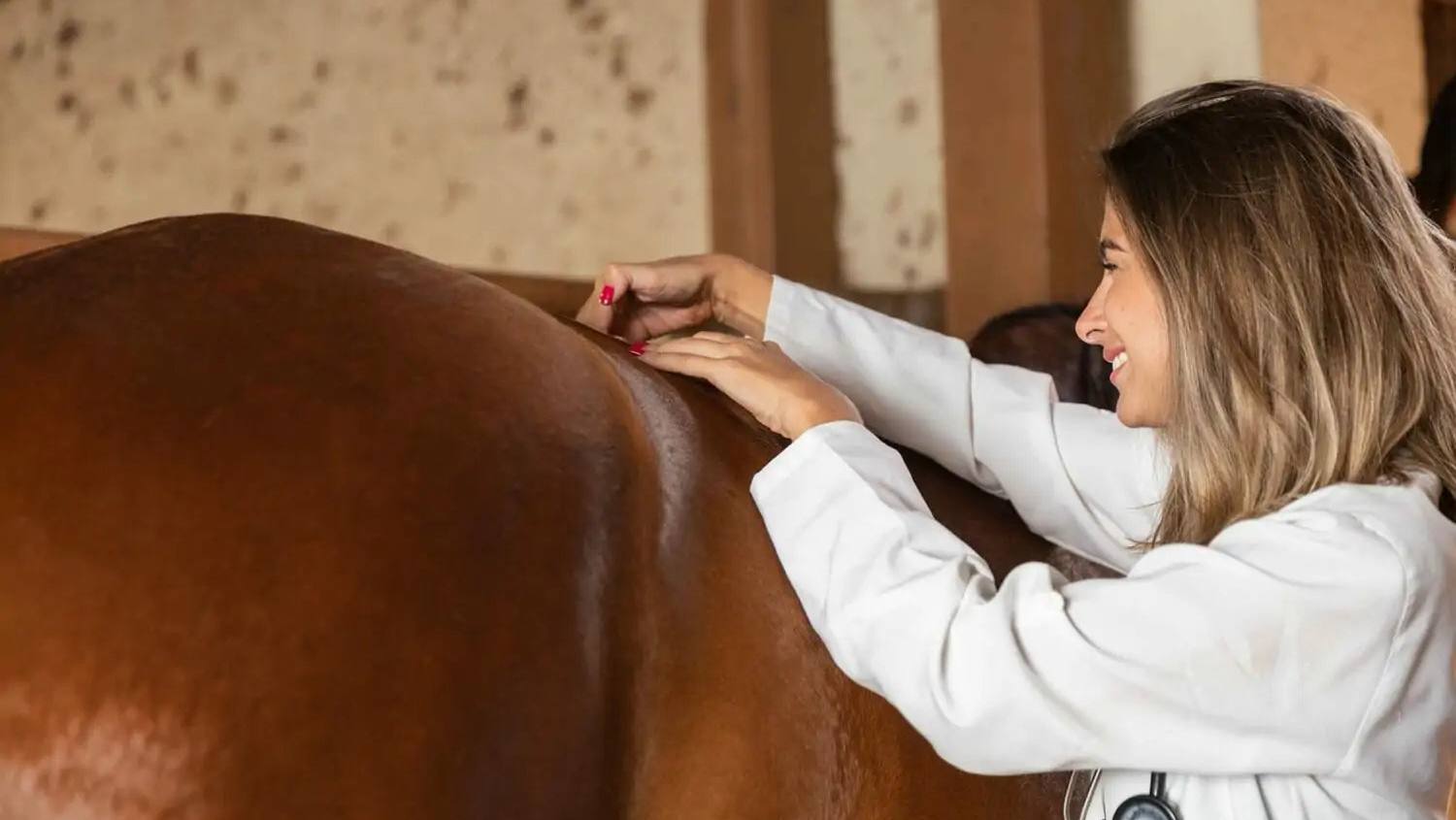 What to do if your horse has back pain?