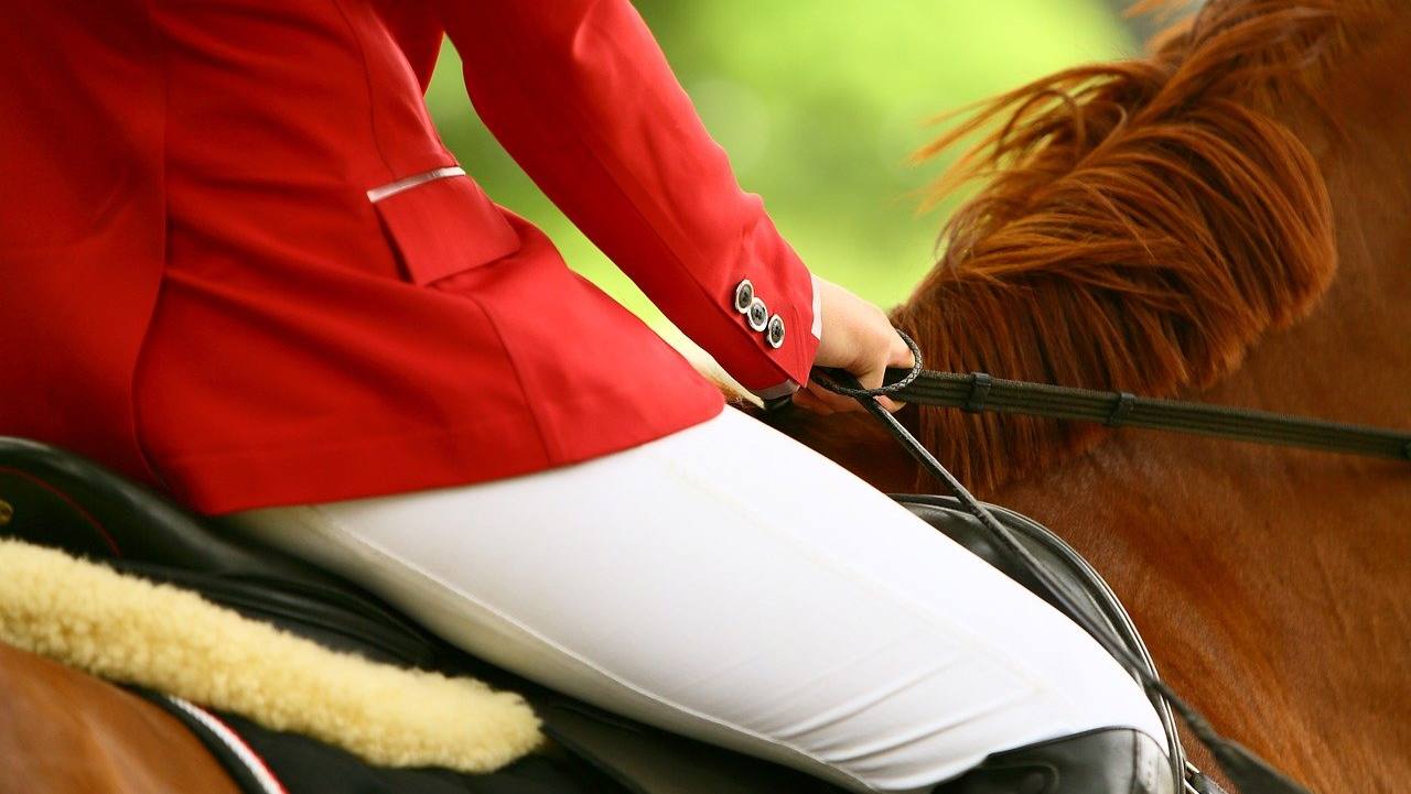 5 criteria for choosing the right riding pants