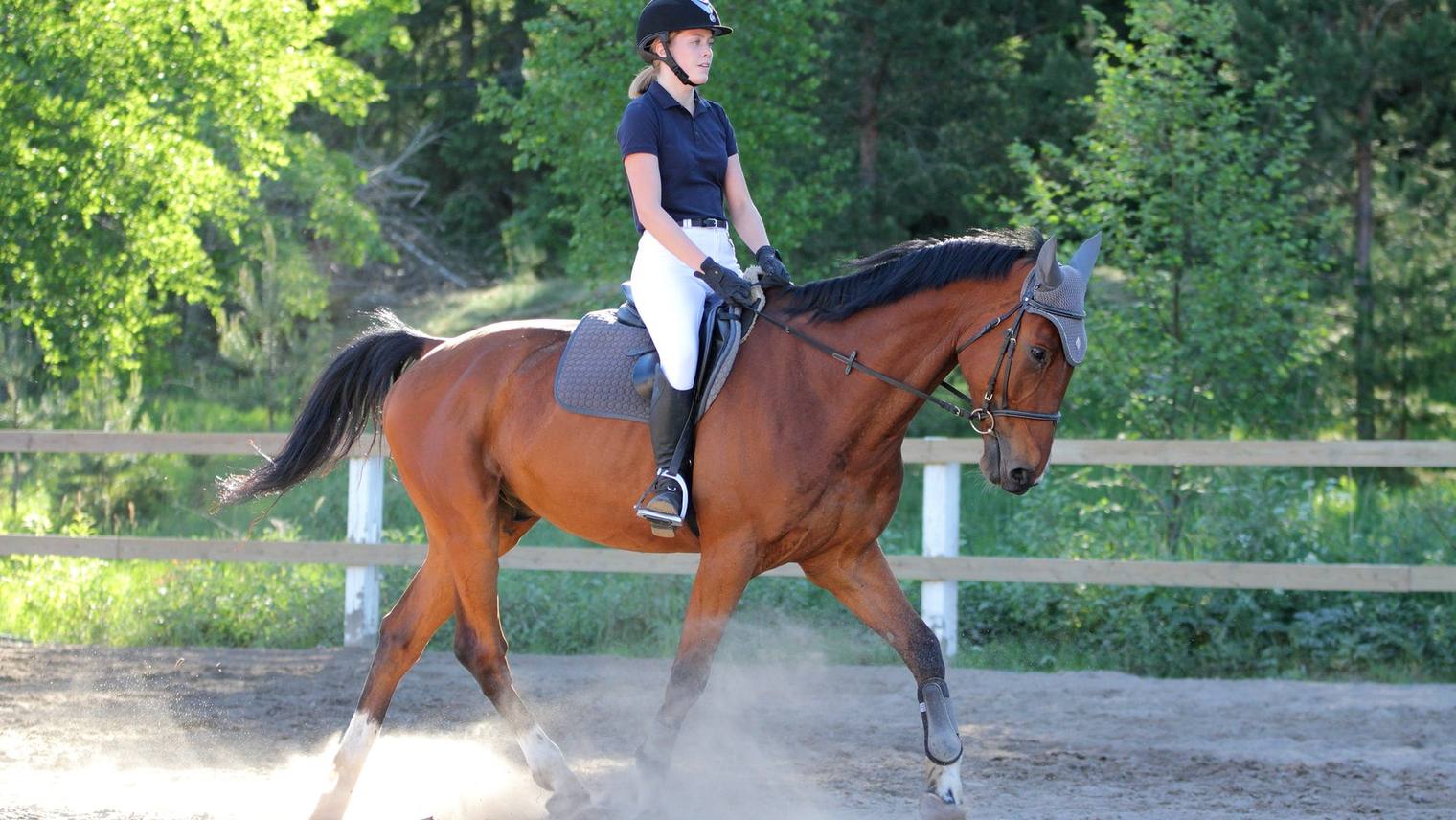 Le galop 3
