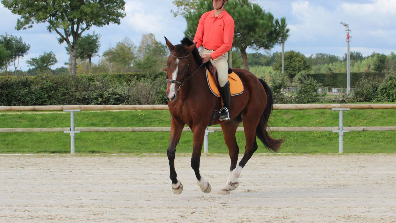 Le galop 2