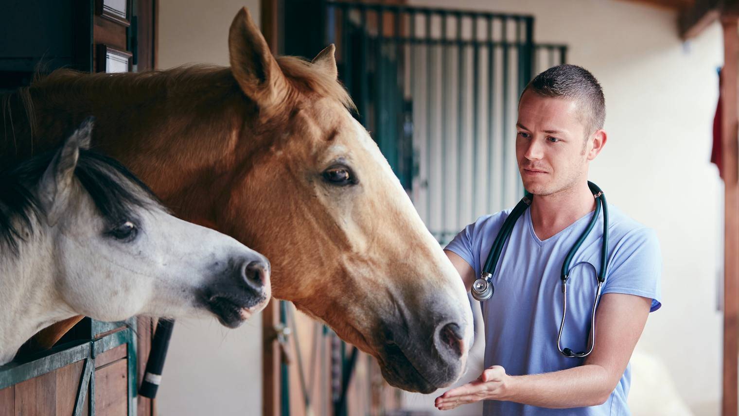 First aid for wounds