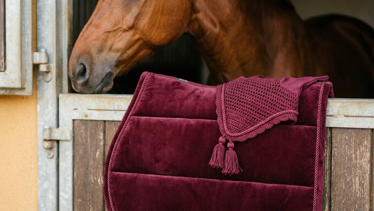 Saddle pad and fly bonnet: choosing and matching the set