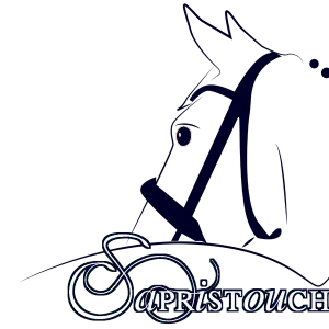 Sapristouch