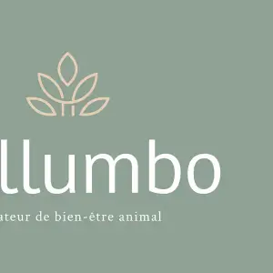 Nellumbo