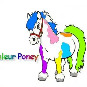 Couleur Poney