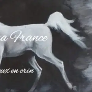 Rima France