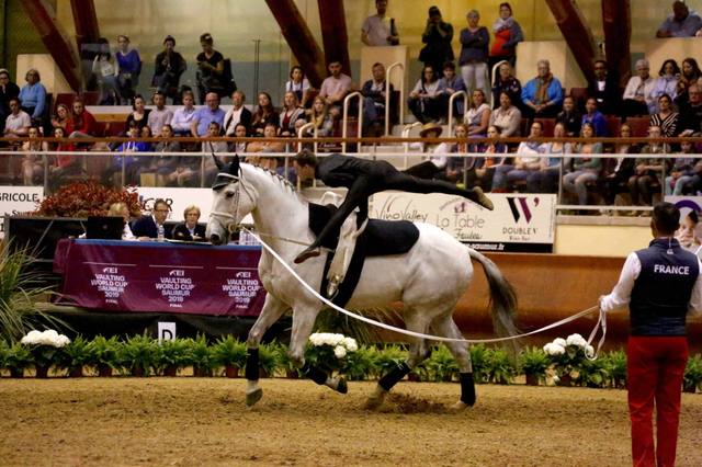 Equestrian vaulting: understanding the sport and your first lesson