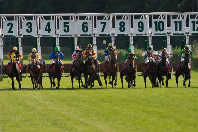 The administration and regulation of horse race betting