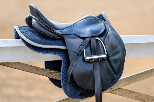 Ma selle est-elle adaptée à mon cheval ? Les points à vérifier