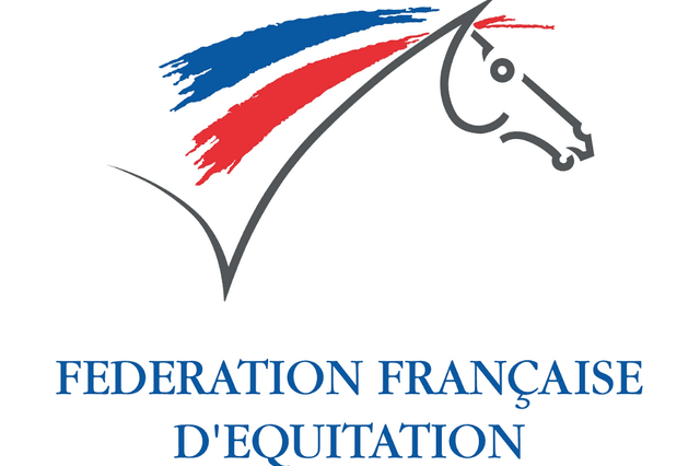 What is the FFE?