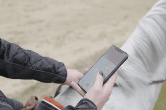 Which start-ups are there in the equestrian world?