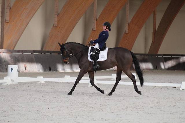What is para dressage?