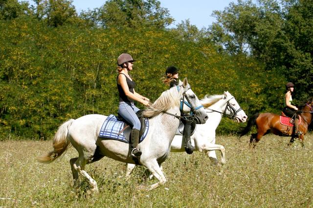Everything you need to know about trail riding