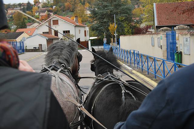 Riders and carriages on public roads