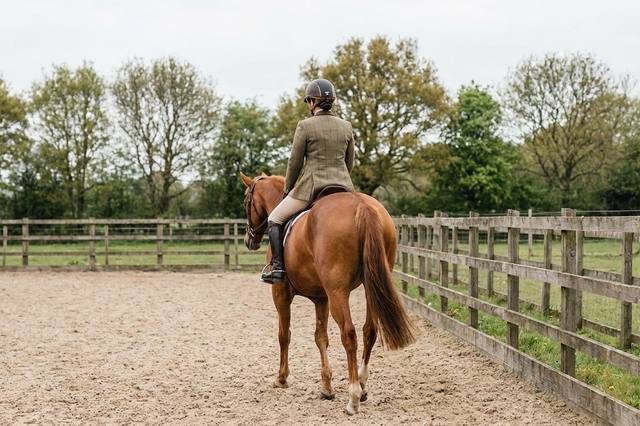 Assiette du cavalier : travailler son équilibre avec des repères concrets