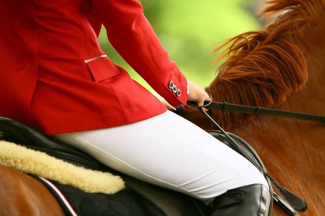 Riding breeches: five checks for a fit that works for you