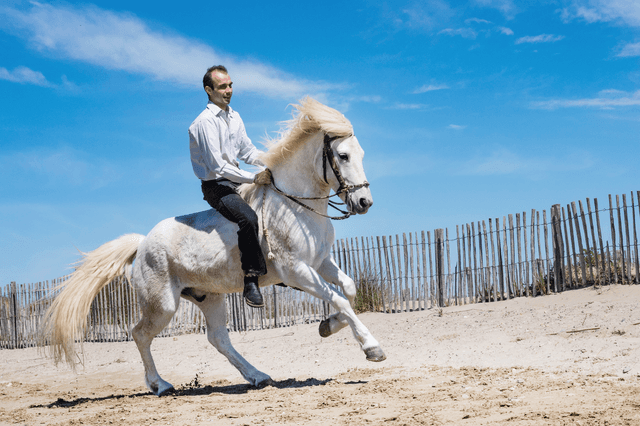 Bareback riding and bareback pads: what to consider before trying them