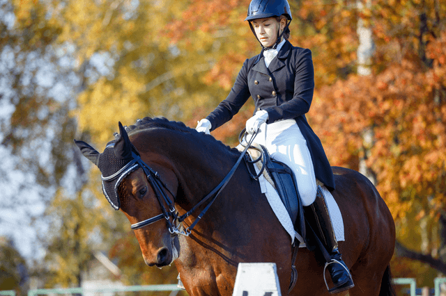 Eventing: understand the tests and prepare an introduction