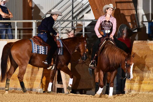 Western riding: choosing an activity and planning your first lesson