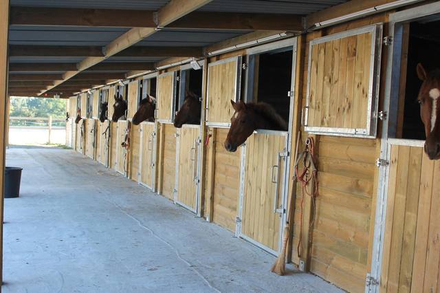 Choosing a horse’s stable: space, flooring and the full project cost