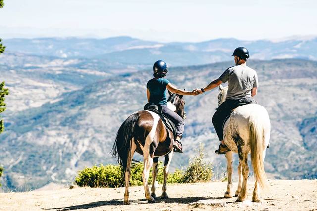 Trail riding