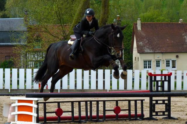 Hunter classes in France: judging and preparing your first round