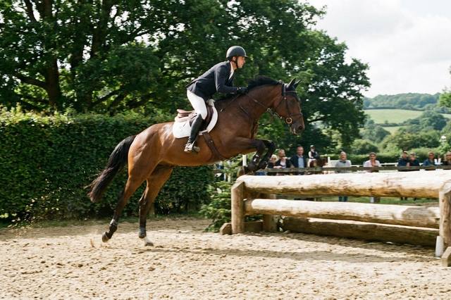 Show jumping: understand courses, oxers and fence heights