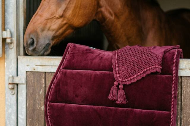Saddle pad and fly bonnet: choosing and matching the set