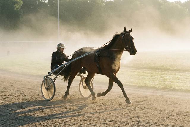 The French Trotter: distinguish racing from a retraining project