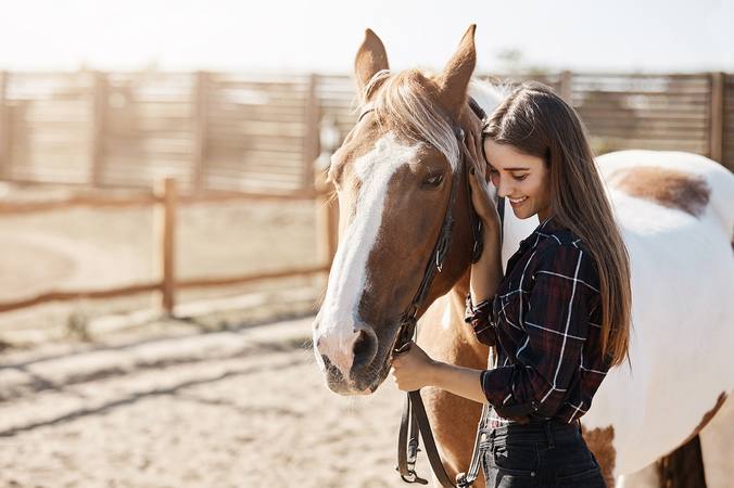 Le métier d’éleveur de chevaux