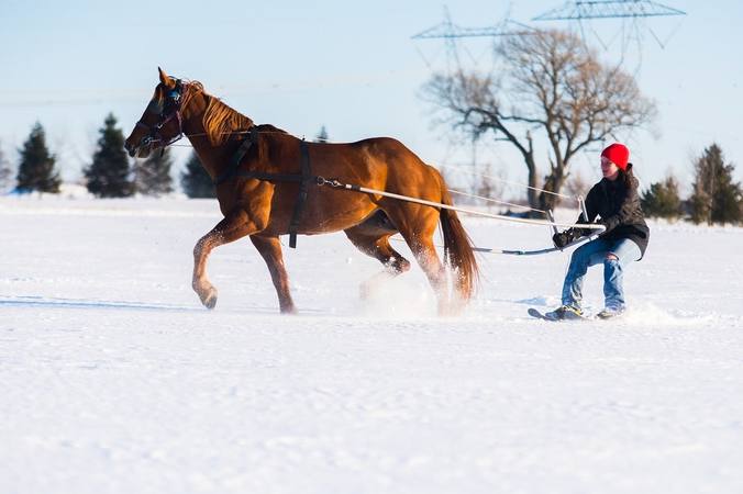 Qu’est-ce que le ski jöering ?